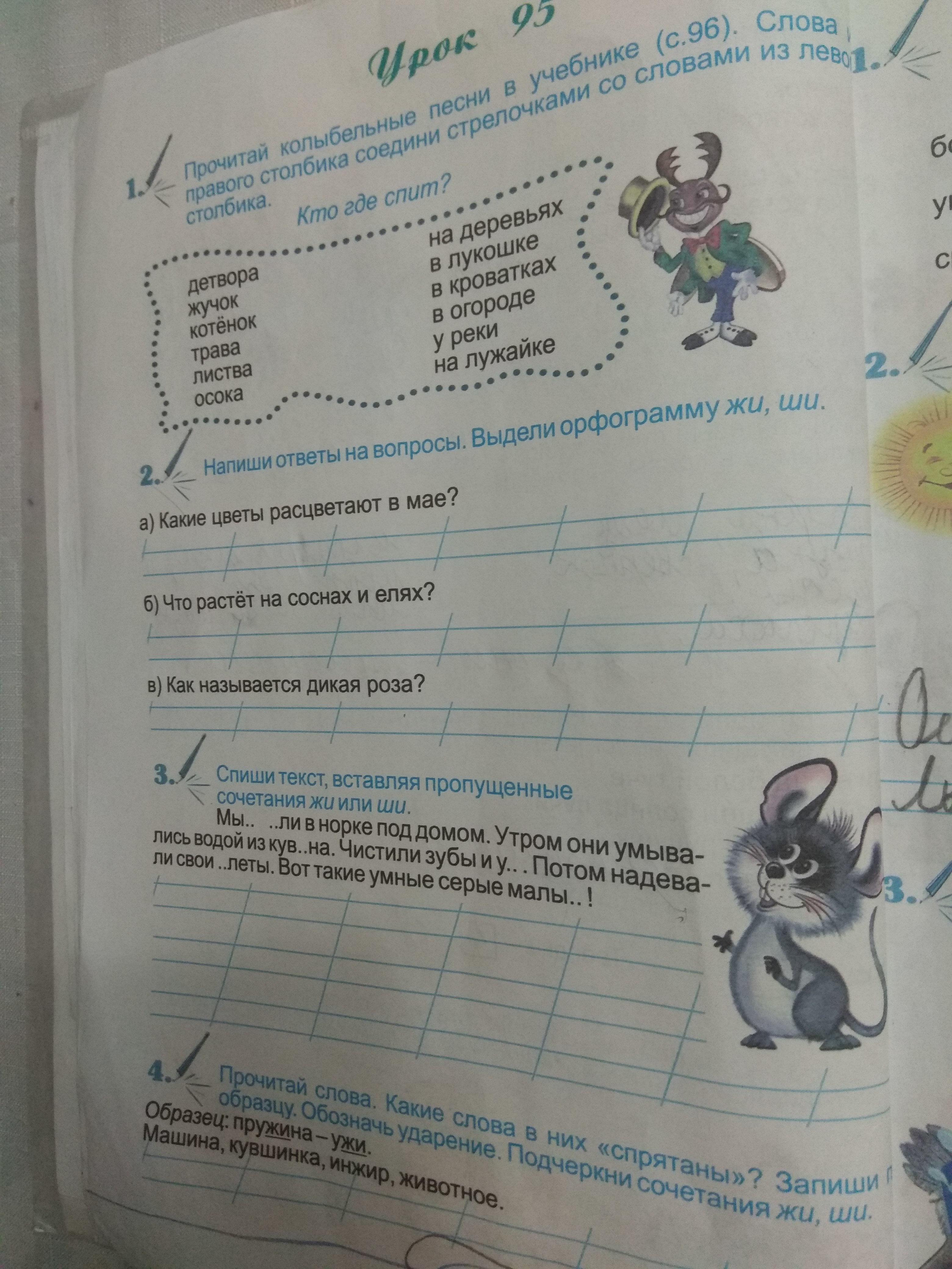 question img
