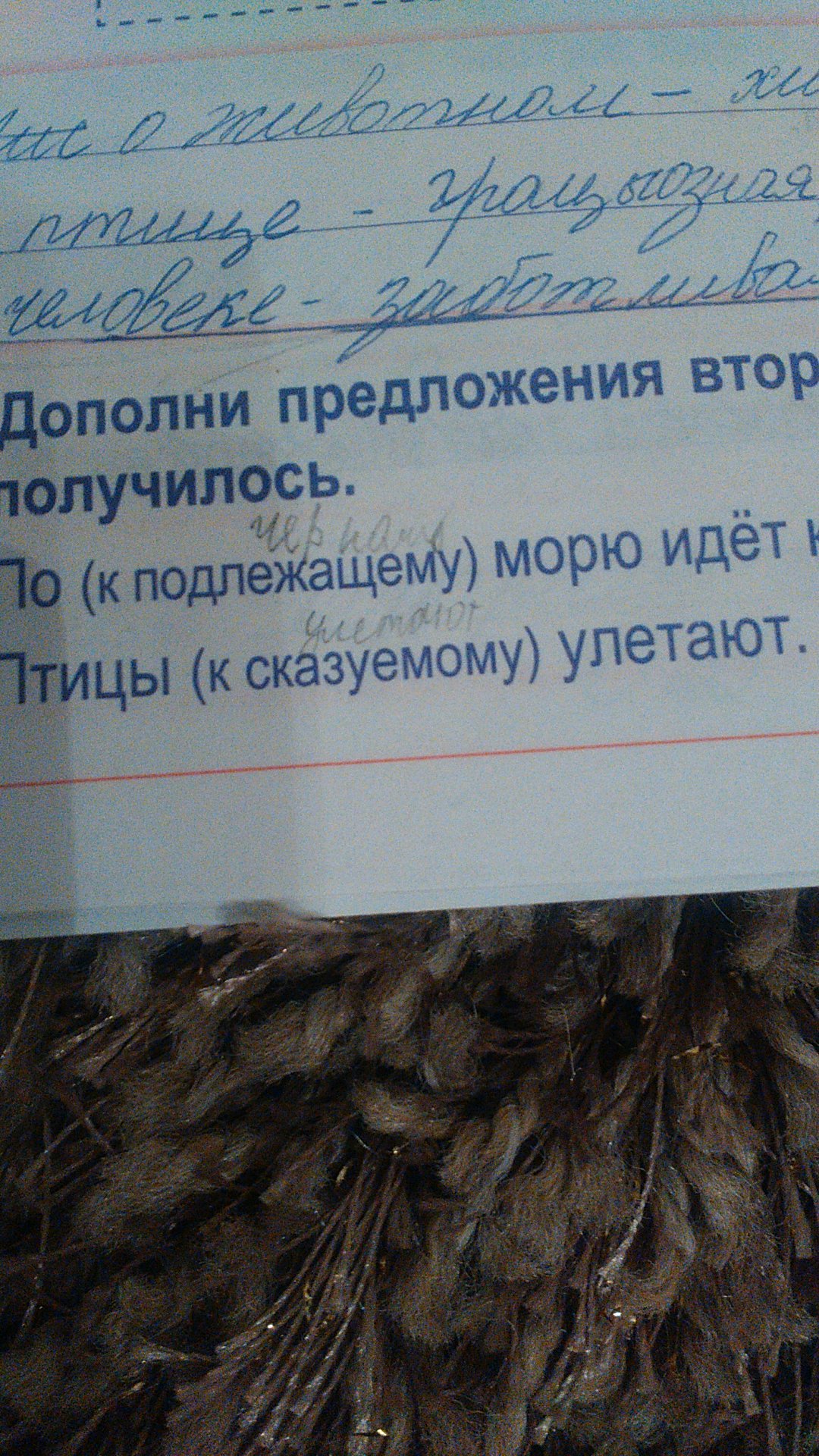 question img
