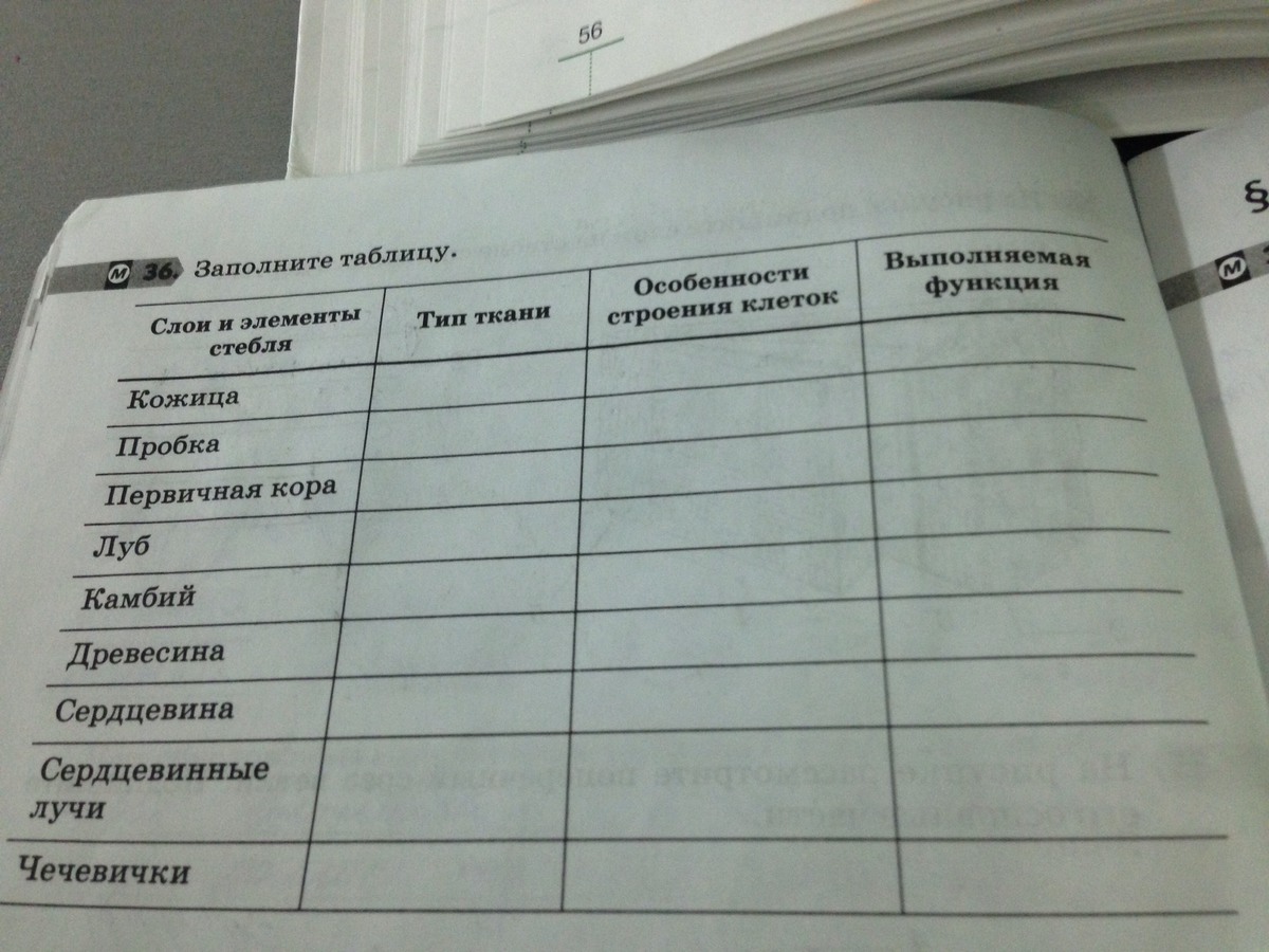 Заполнить таблицу по биологии