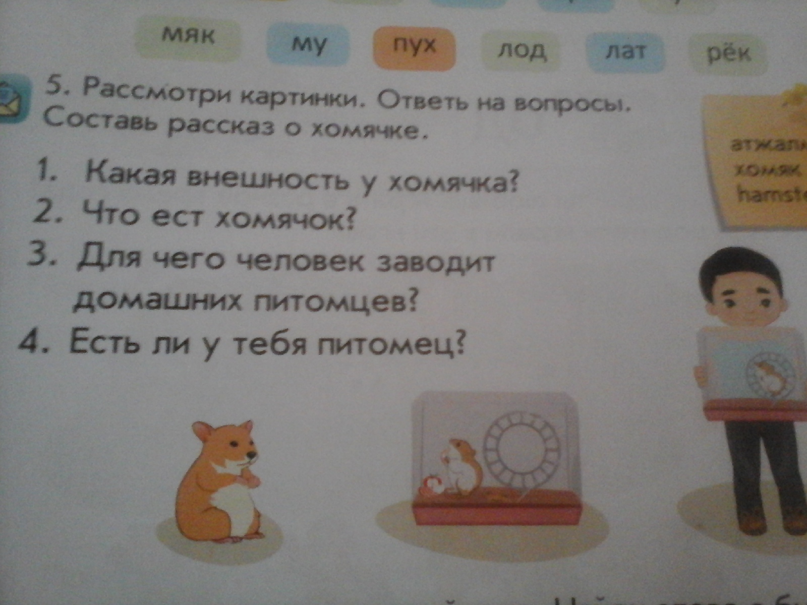 question img