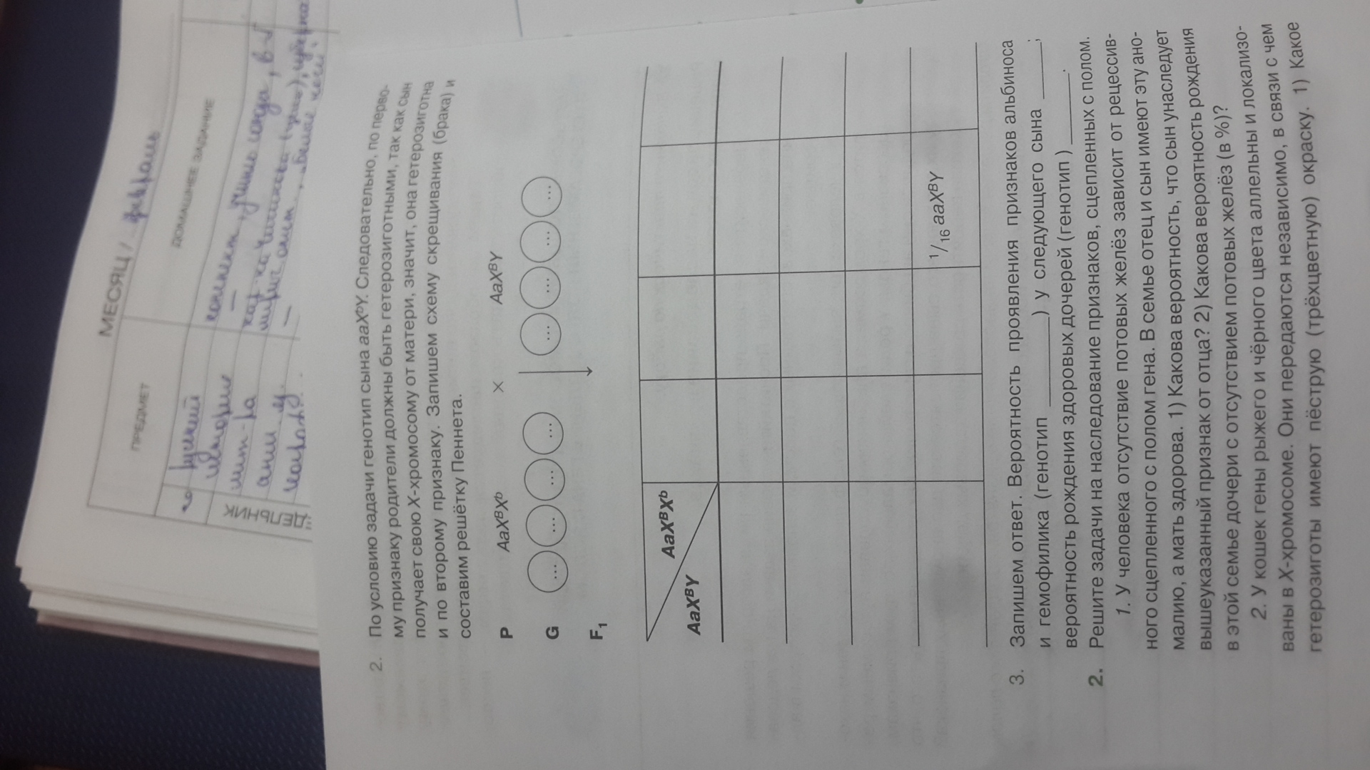 question img