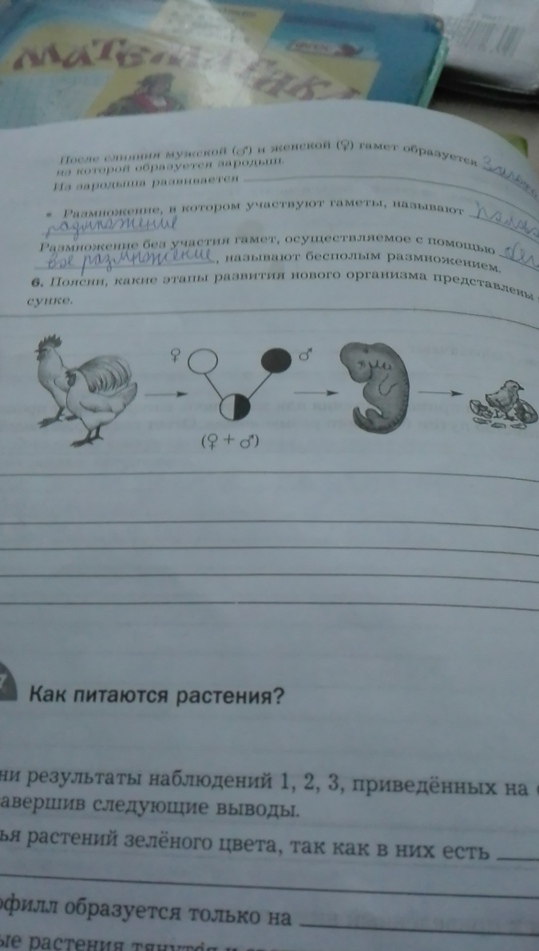 question img