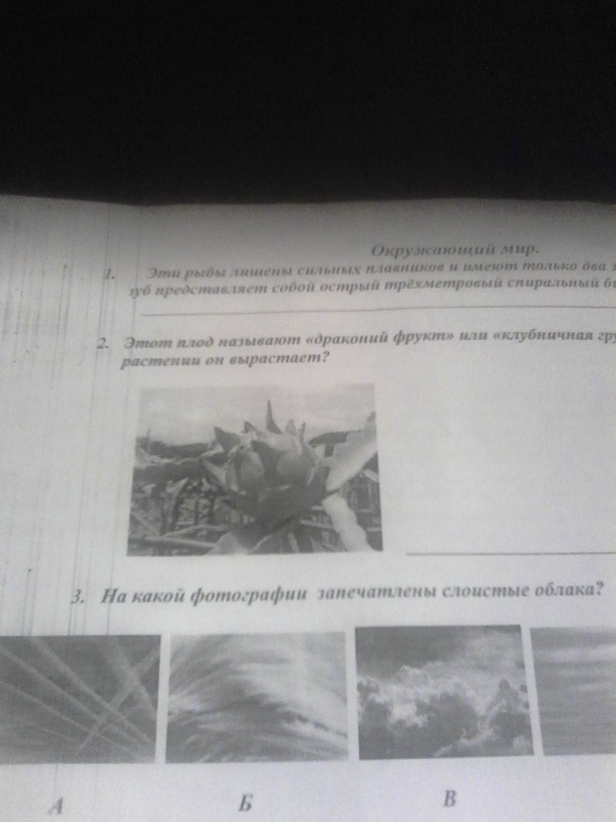 question img