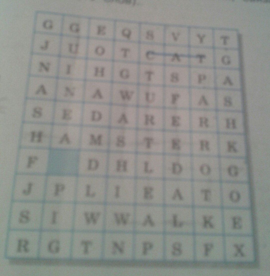 question img