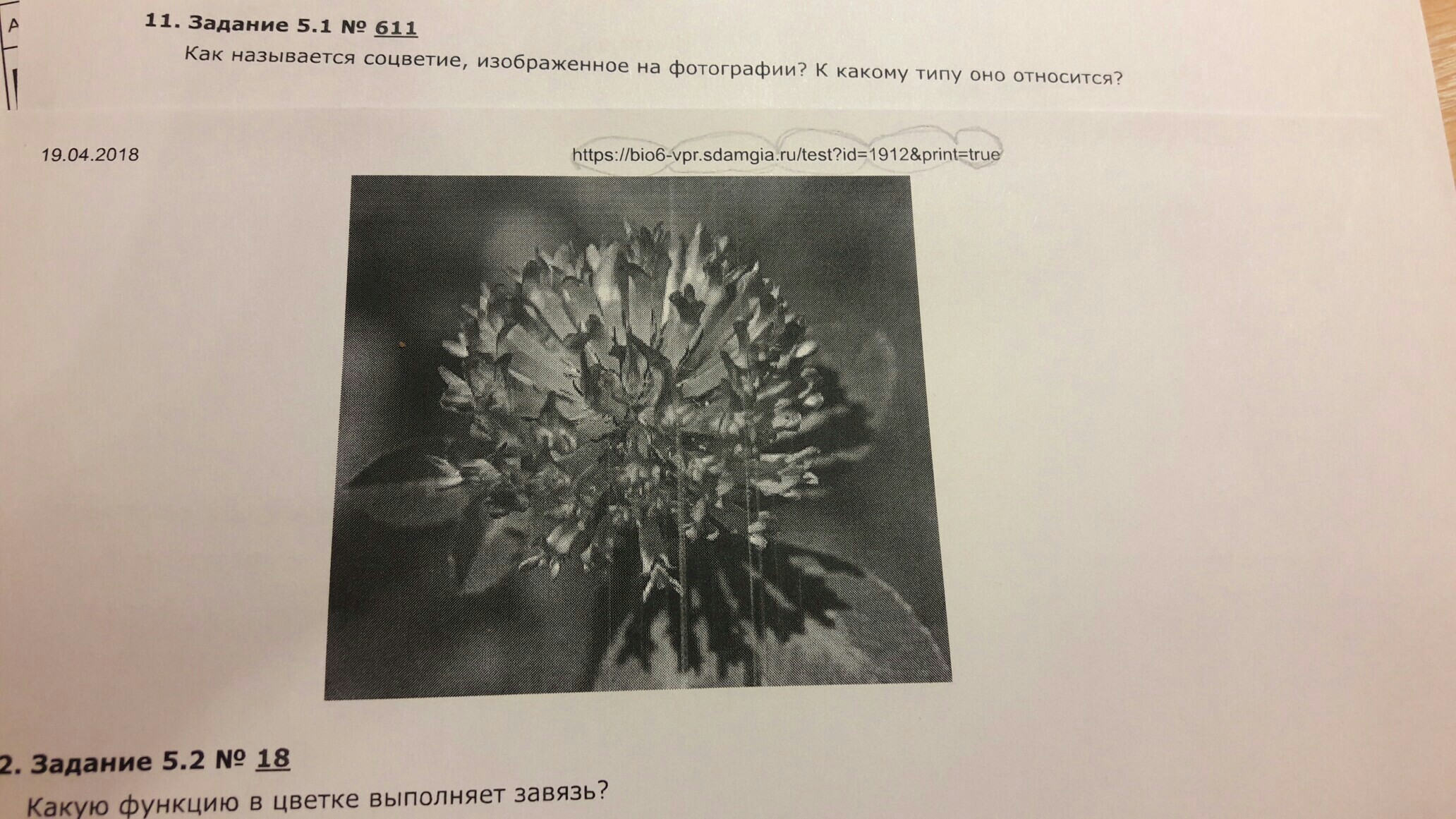 question img
