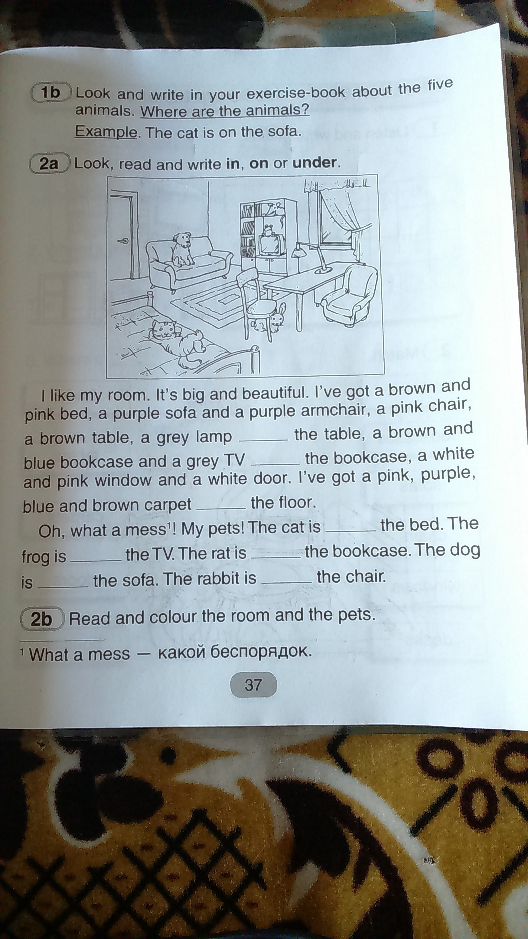 question img