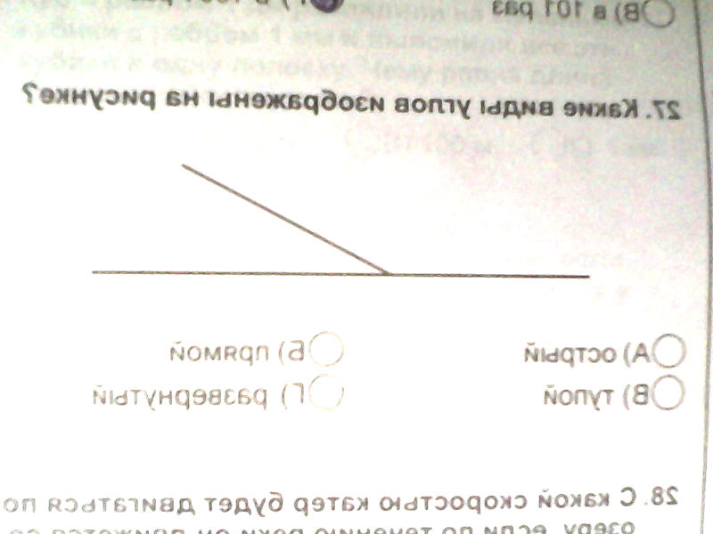 question img