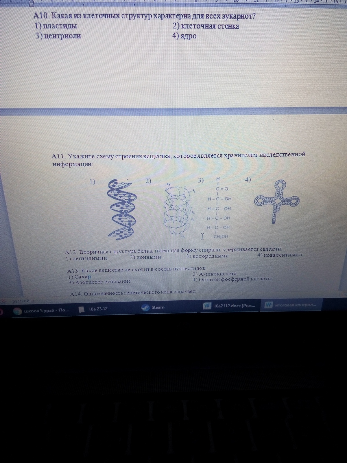 question img