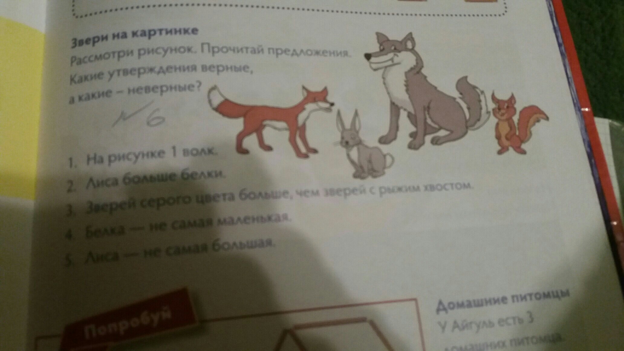 question img