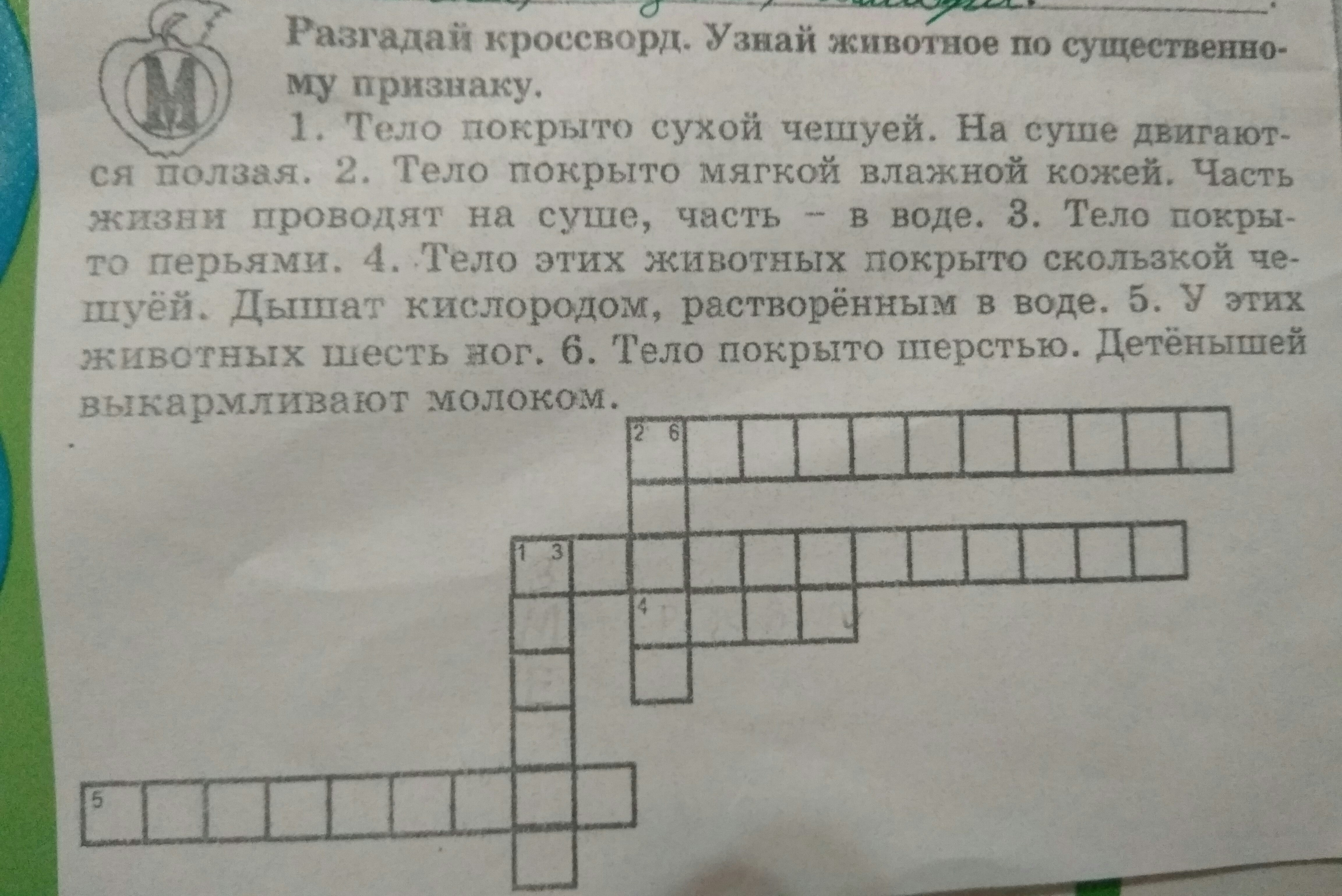 question img