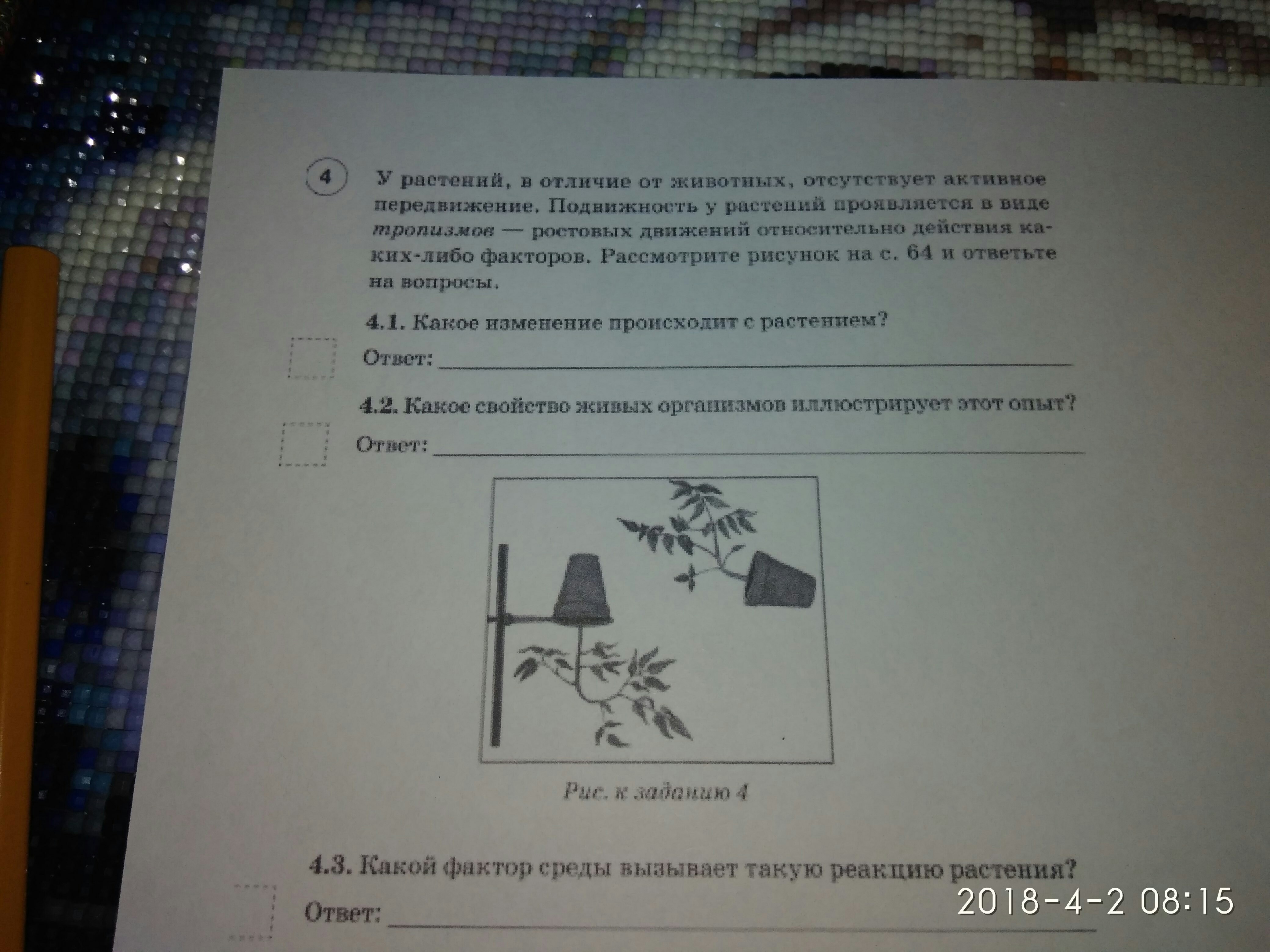 question img