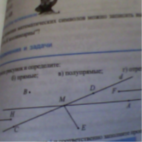question img
