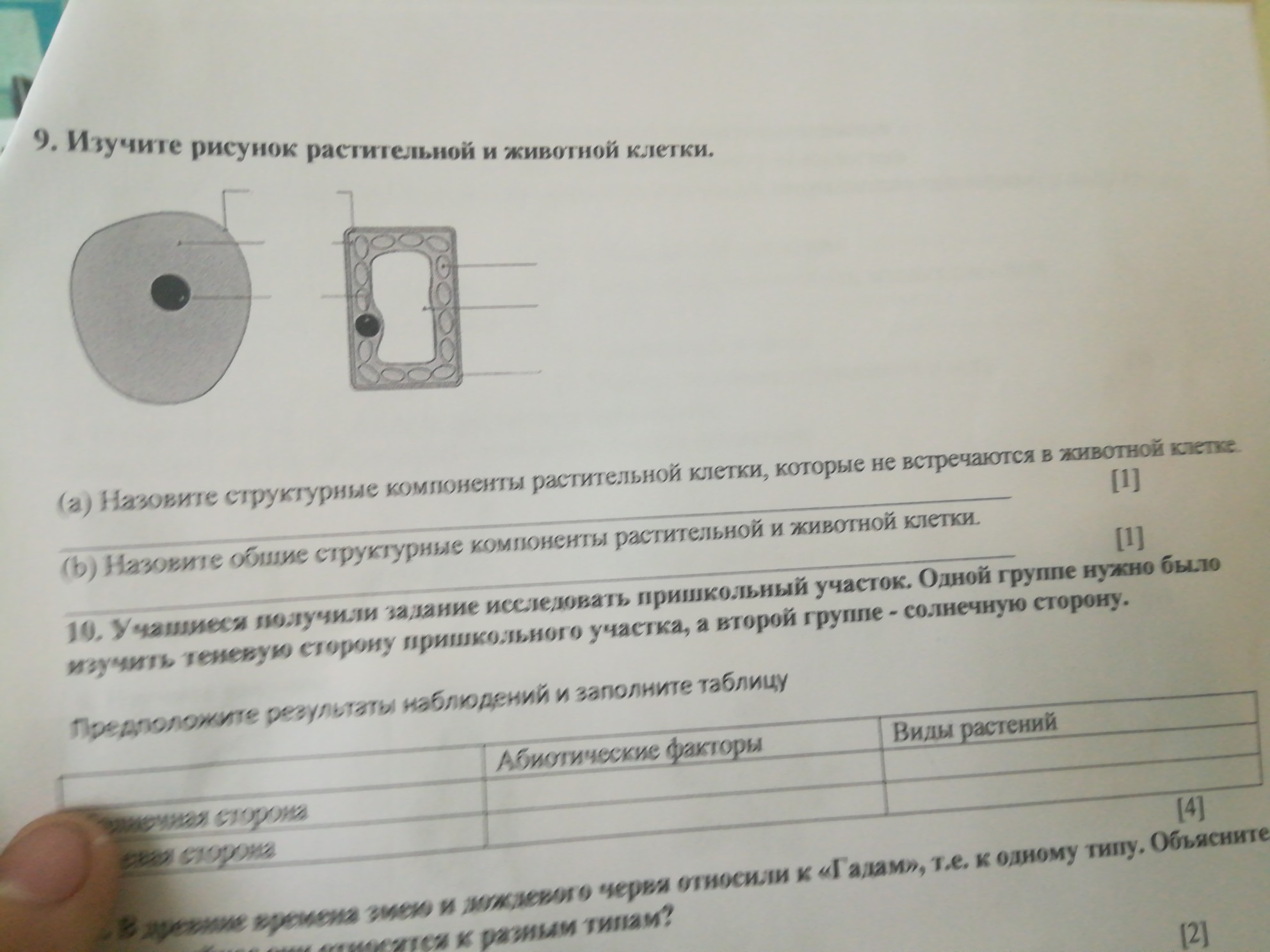 question img