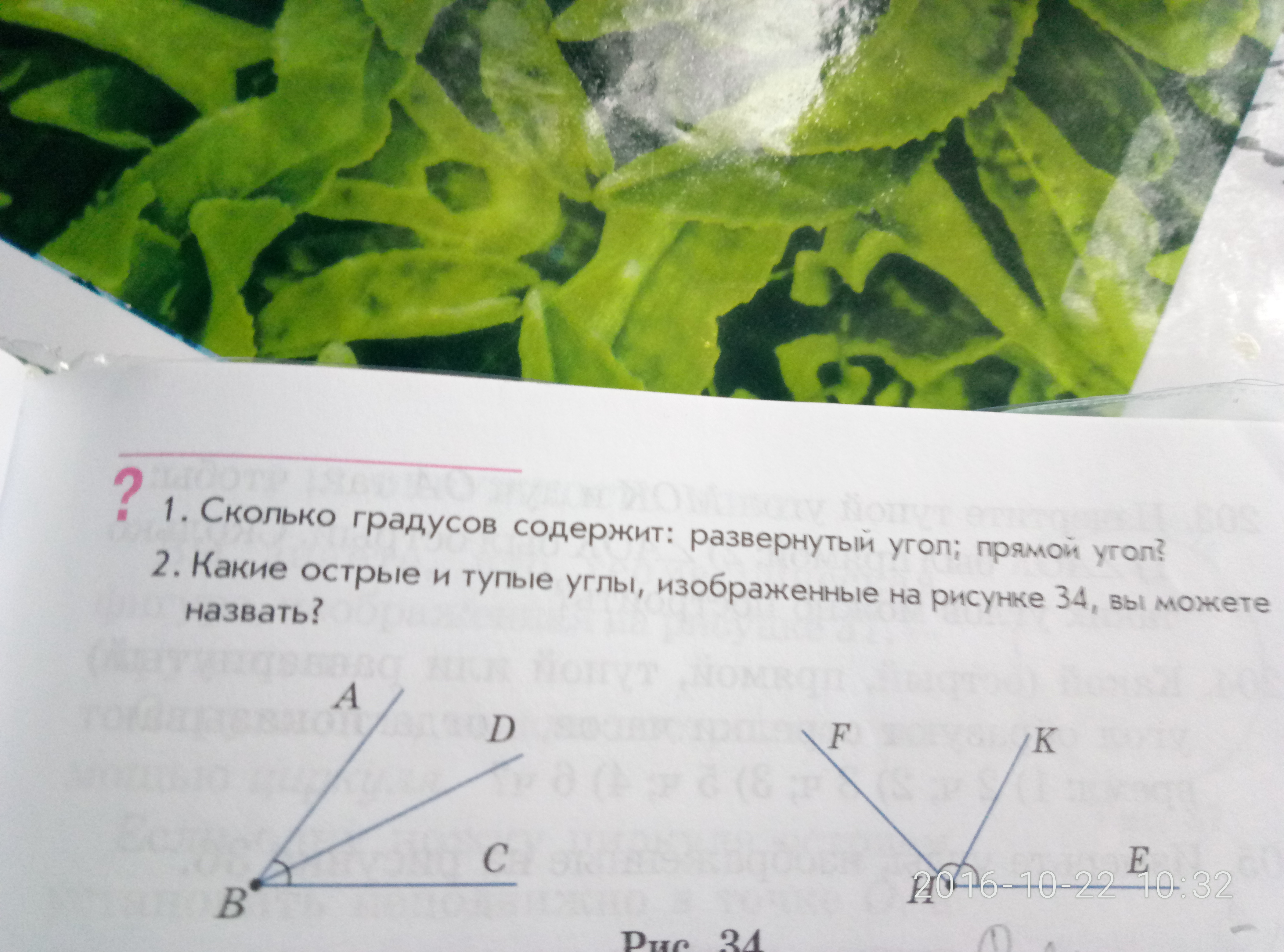 question img