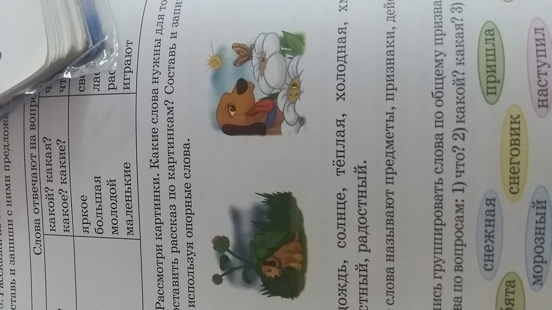 question img