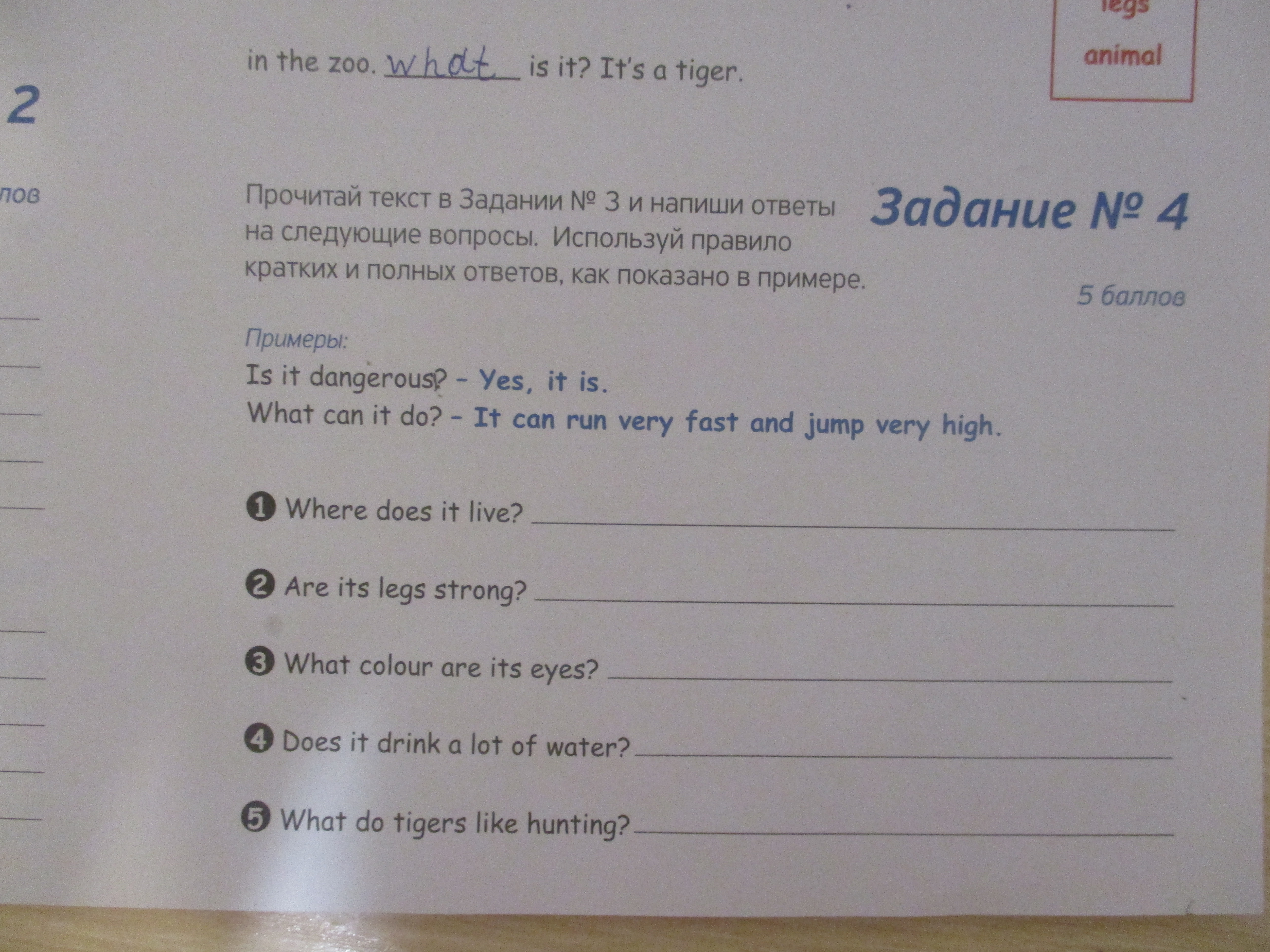 question img