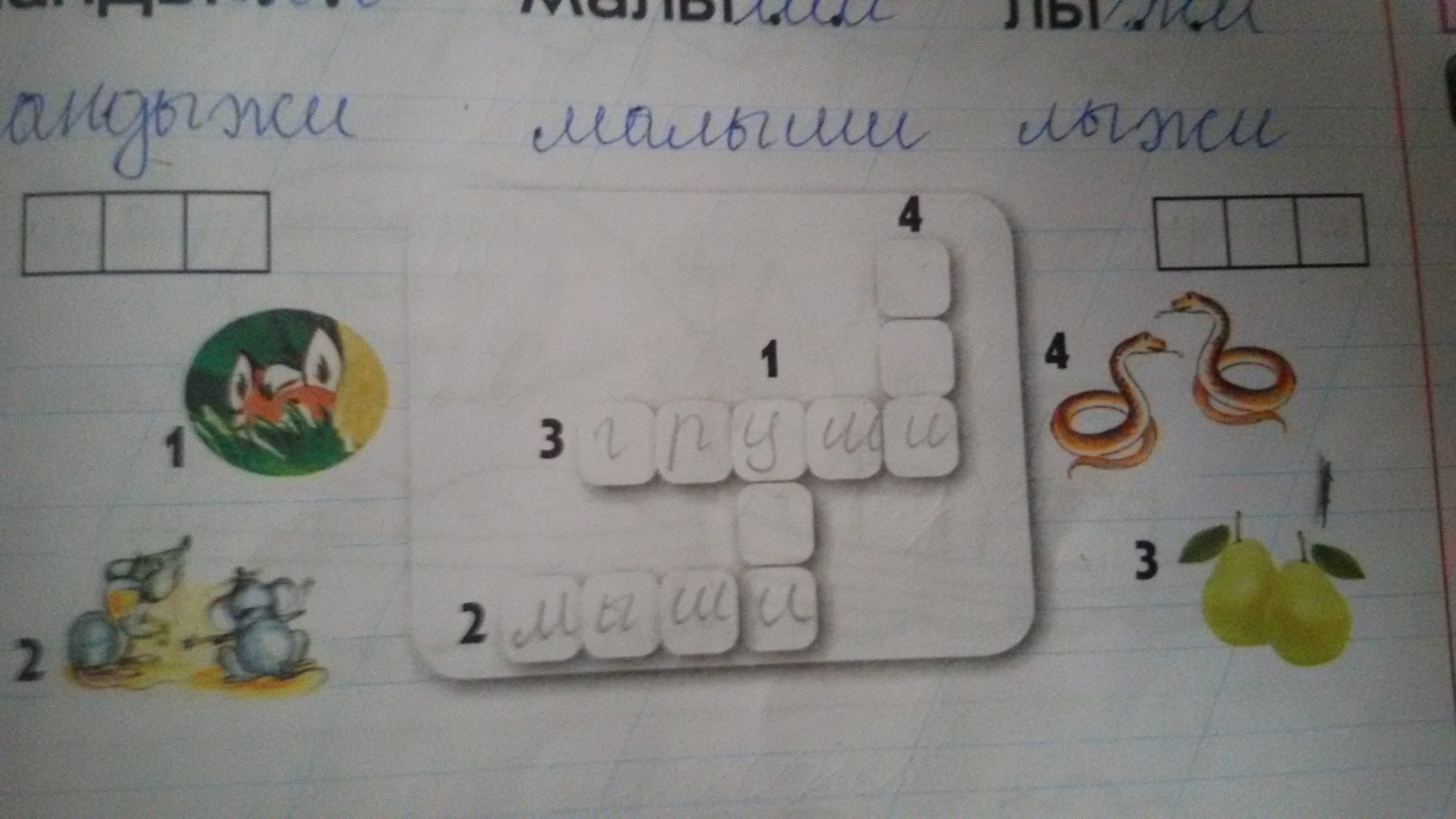 question img