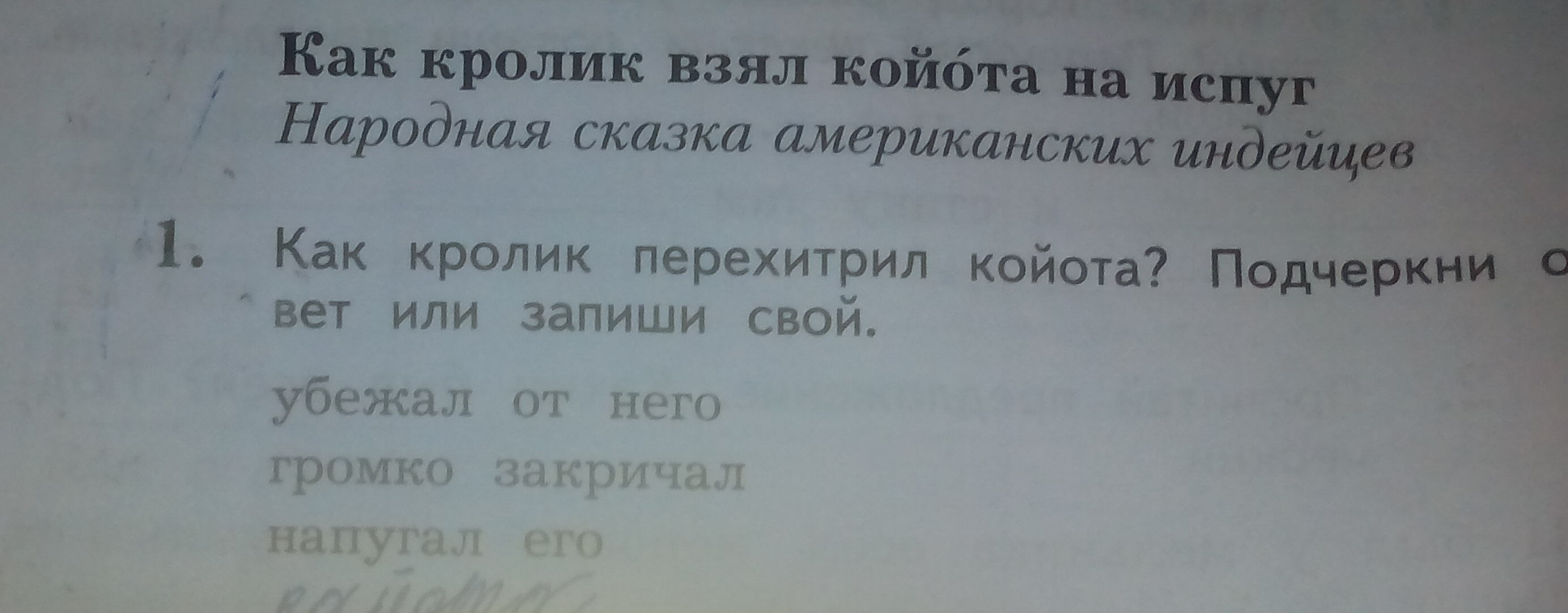 question img