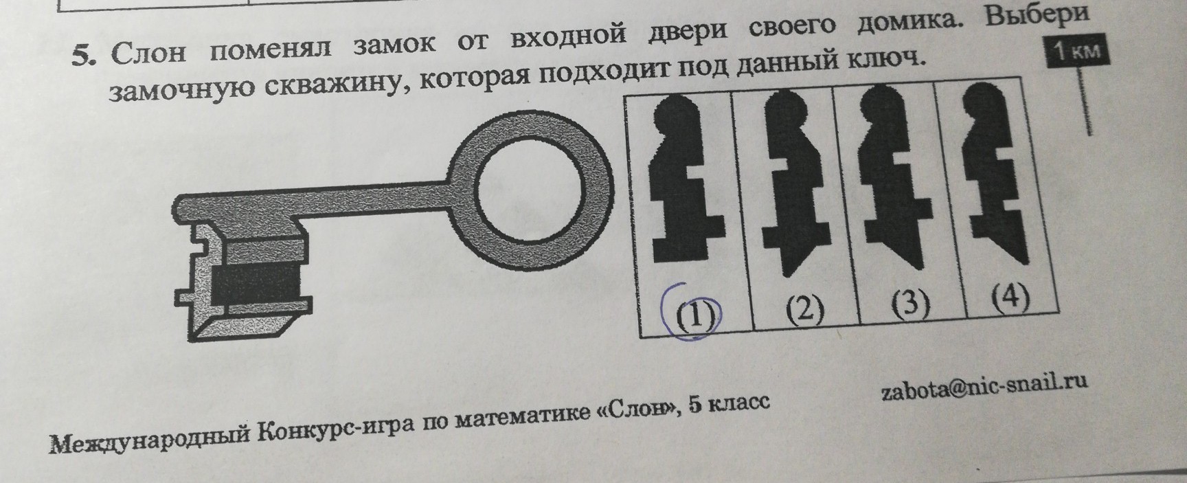 question img