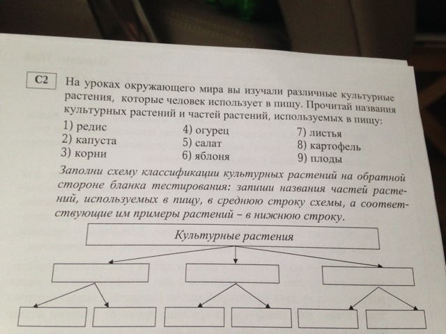 question img