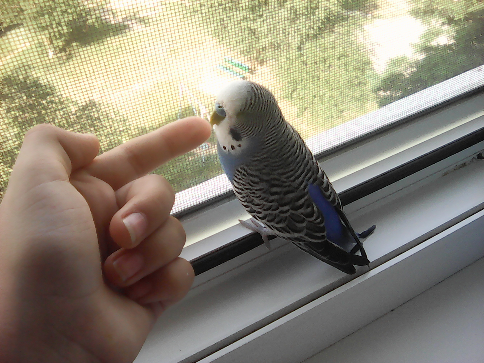 question img