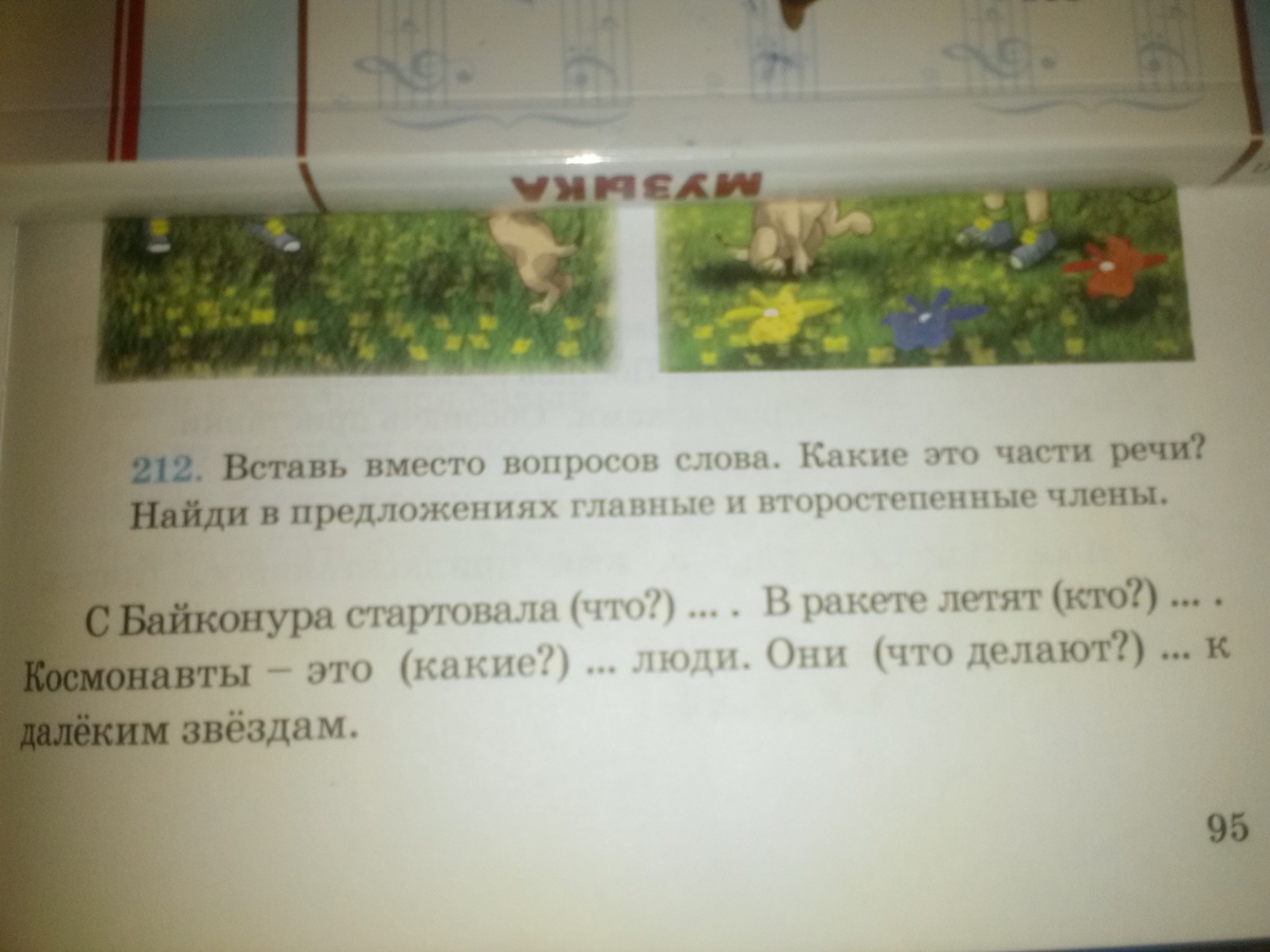 question img