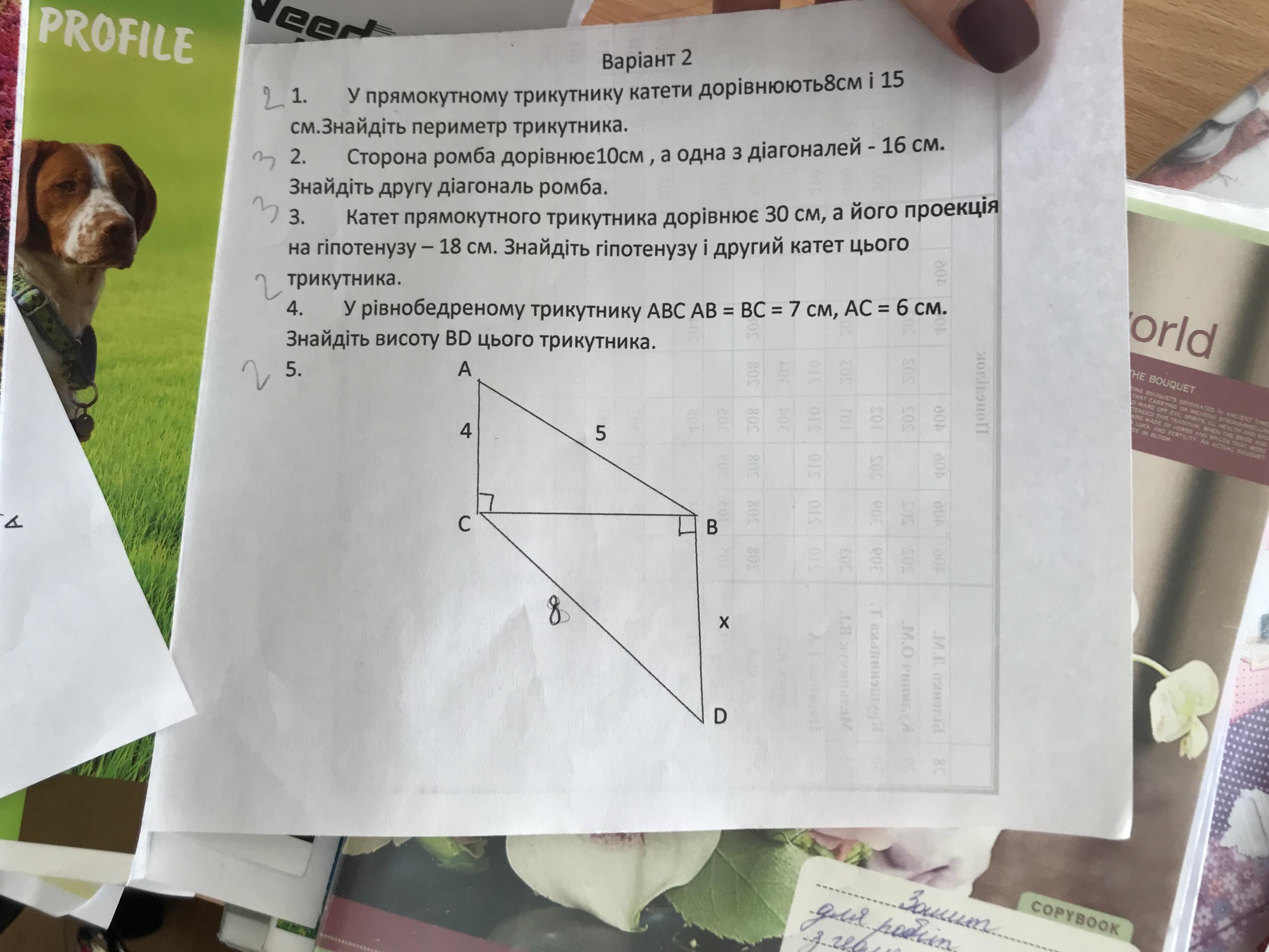 question img