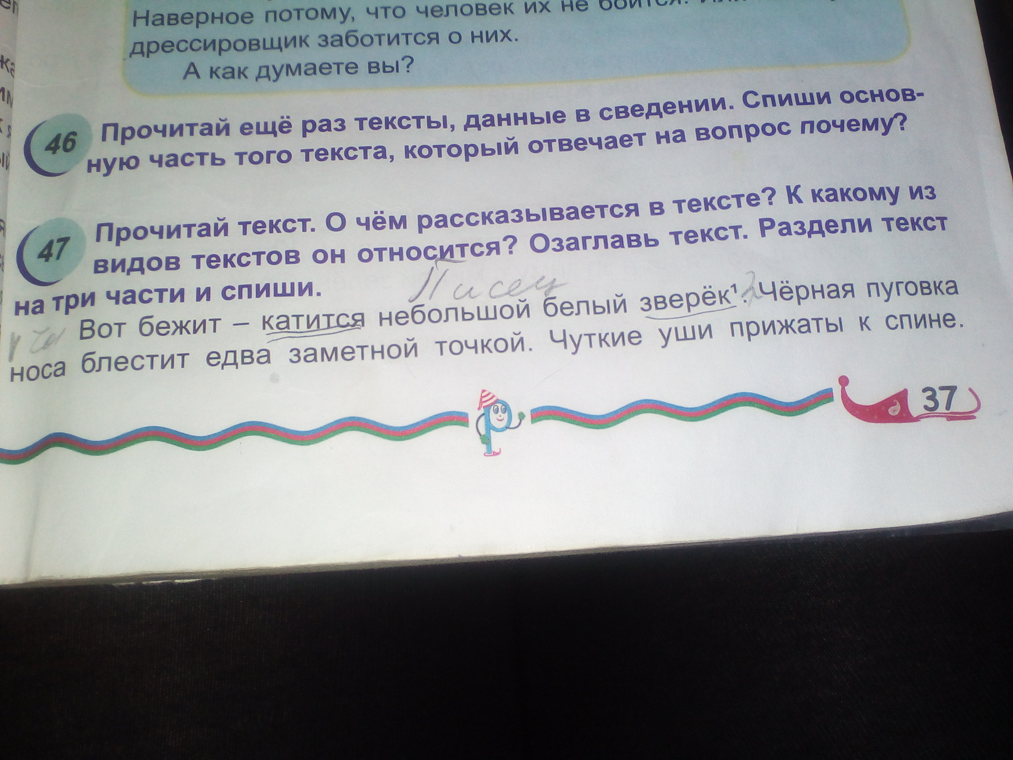 question img