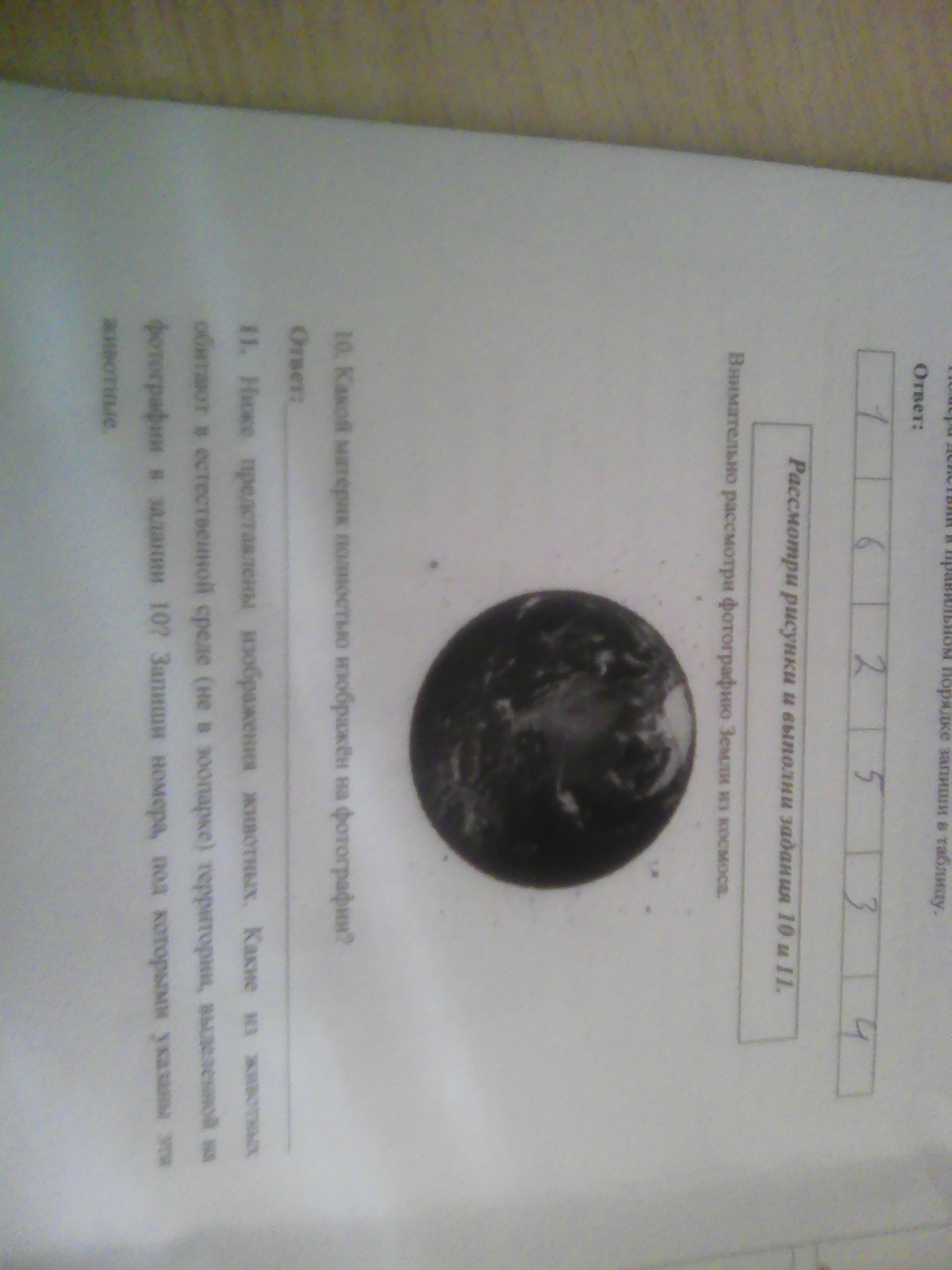 question img
