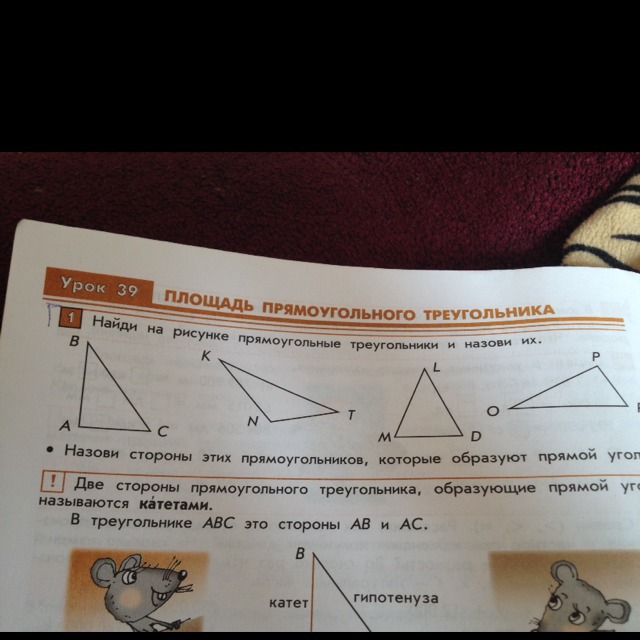 question img