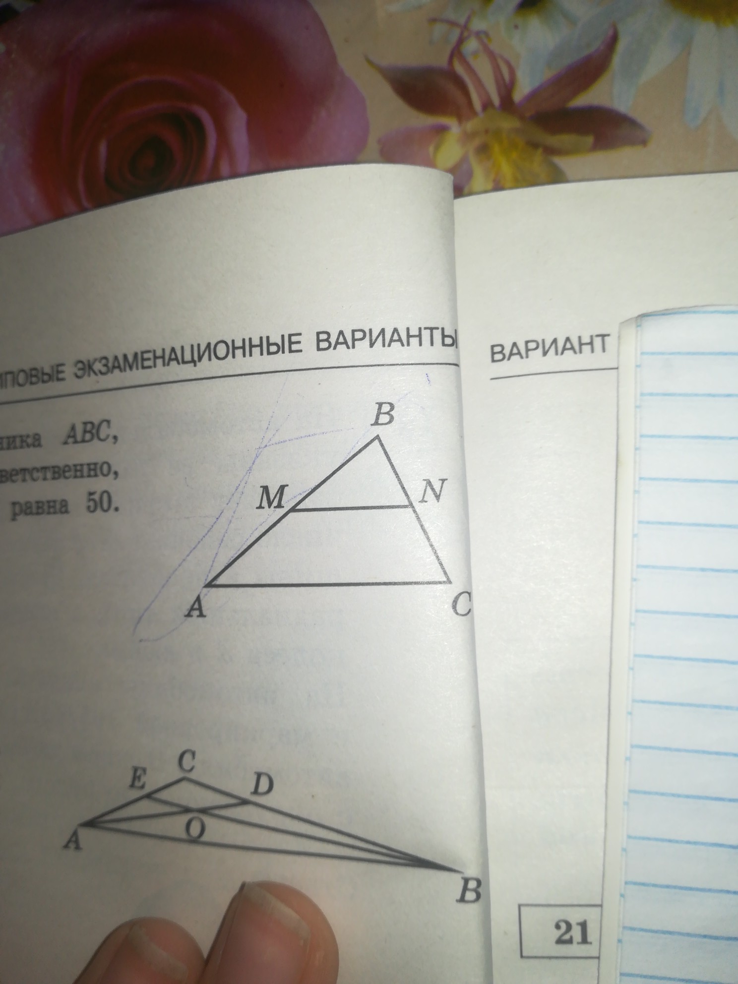 question img