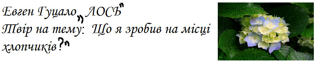 question img