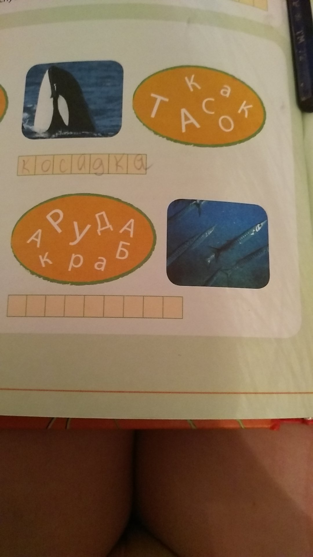 question img