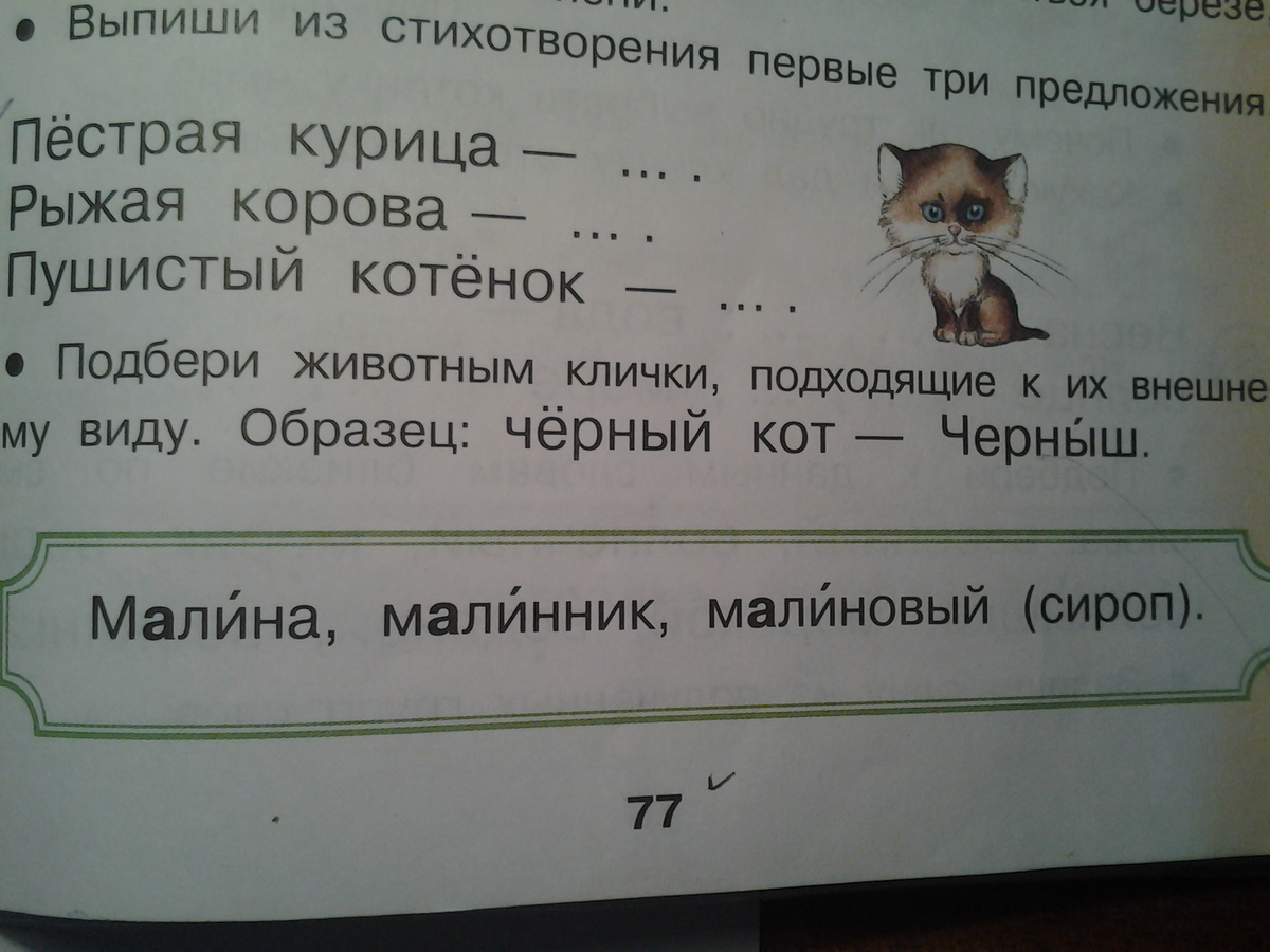 question img