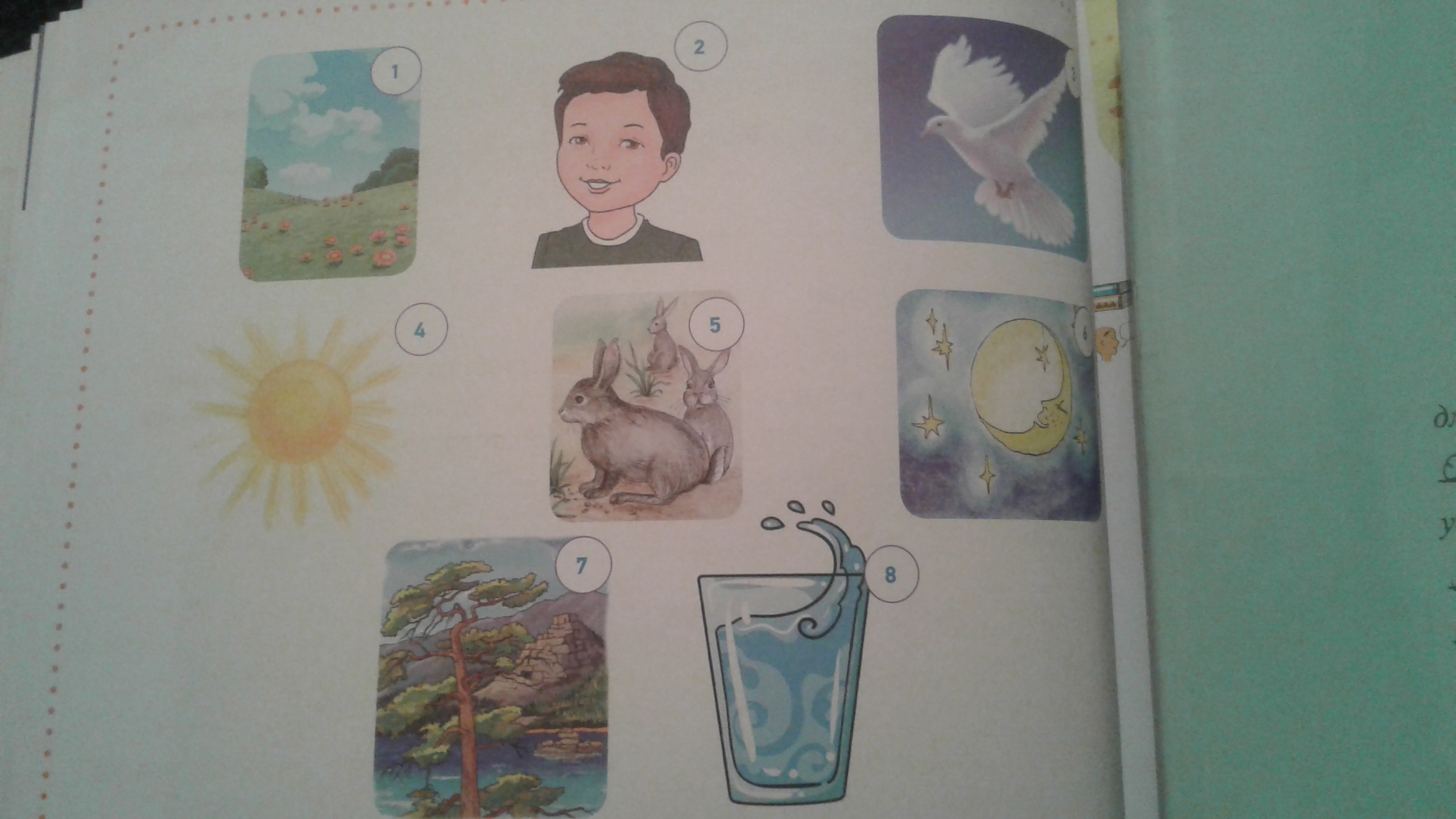 question img