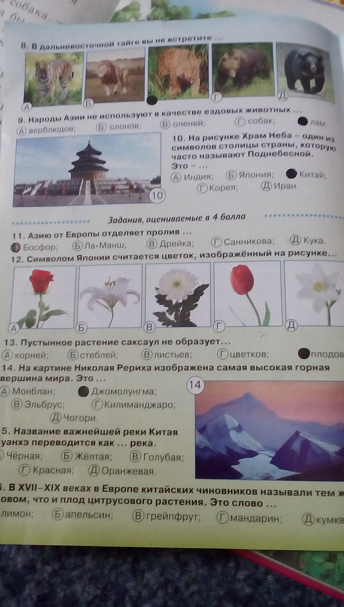 question img